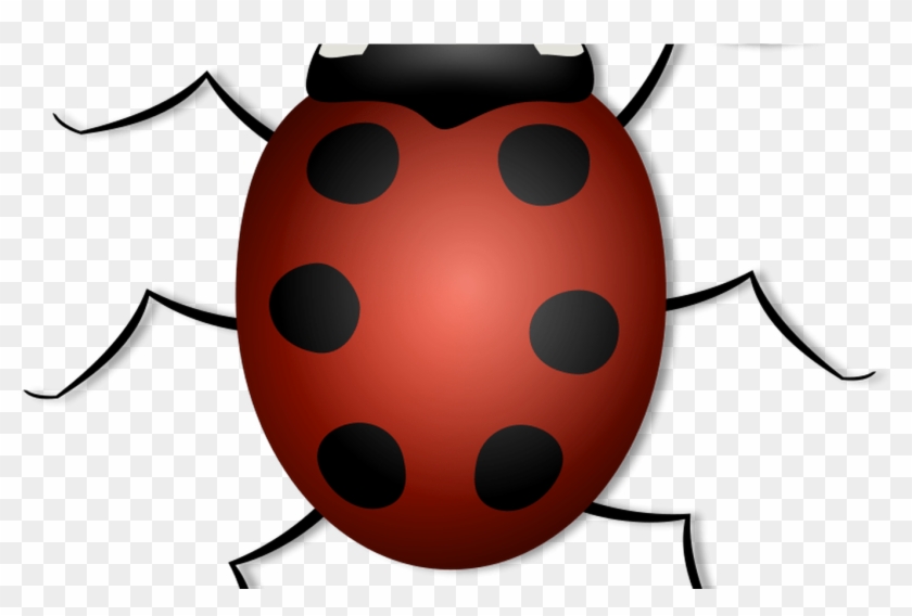 Free Lady Bug Clipart, Download Free Clip Art, Free - Free Lady Bug Clipart, Download Free Clip Art, Free #1537237