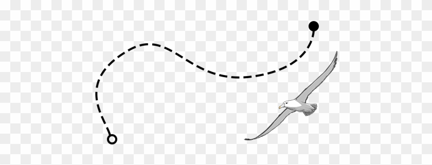 Trail With Seagull - Trail With Seagull #1537305