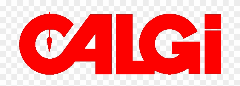 Calgi Construction Company, Inc - Calgi Construction Company, Inc #1537554