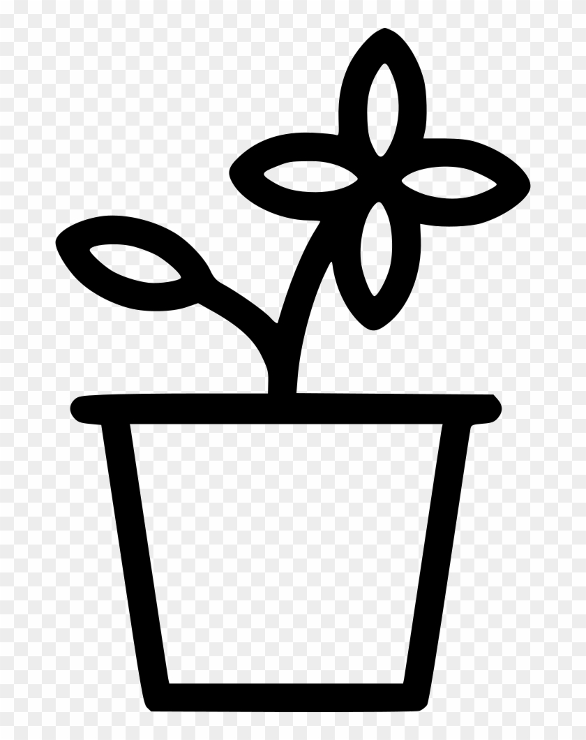 Flower Pot Comments - Flower Pot Comments #1538018
