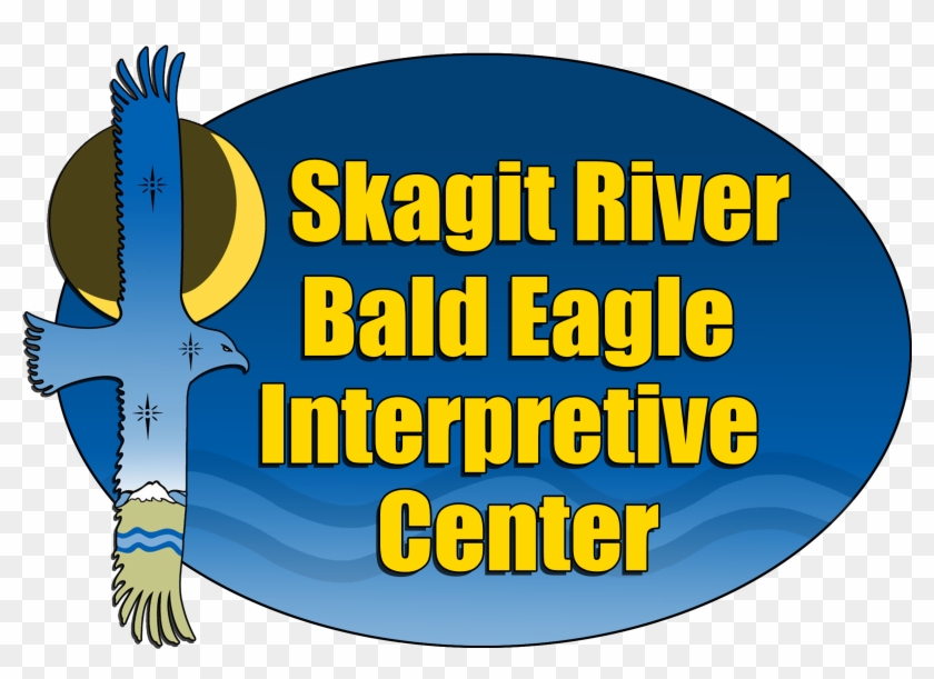 Skagit River Bald Eagle Awareness Team - Skagit River Bald Eagle Awareness Team #1538272