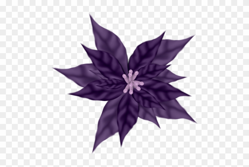 Small Flowers, Christmas Clipart, Views Album, Flower - Small Flowers, Christmas Clipart, Views Album, Flower #1538358