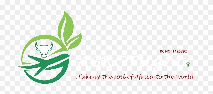 Africa's Agribusiness Markets Are Projected To Reach - Africa's Agribusiness Markets Are Projected To Reach #1538496