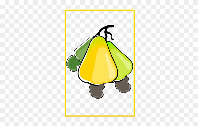 Currently Eastern Cashew Runs One Cashew Factory In - Currently Eastern Cashew Runs One Cashew Factory In #1538552