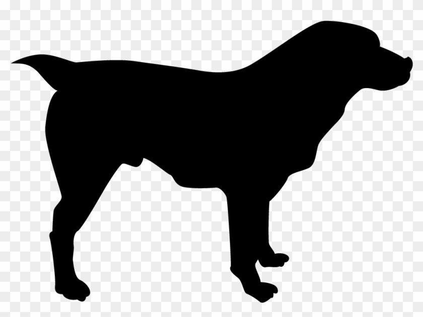 Medium Breeds - Medium Breeds #1538678