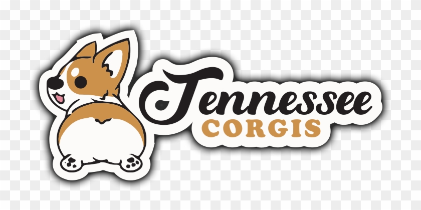 Tennessee Corgis Tennessee Corgis - Tennessee Corgis Tennessee Corgis #1538816