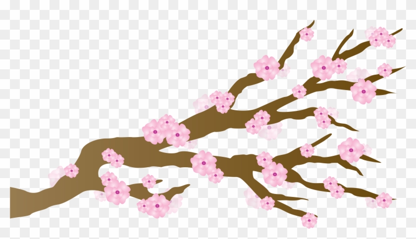 Pink Cherry Blossoms Japanese Draft Free Image Clipart - Pink Cherry Blossoms Japanese Draft Free Image Clipart #1539175
