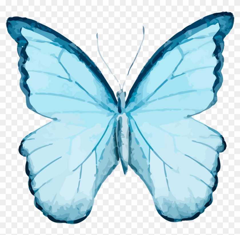 Butterfly Clipart Peach - Butterfly Clipart Peach #1539203