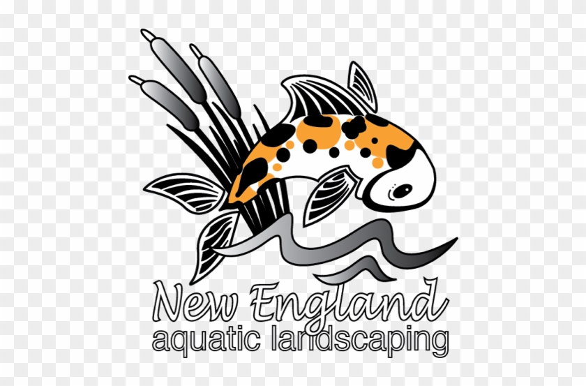 Pond & Waterfall Builder, Landscaping, Massachusetts - Pond & Waterfall Builder, Landscaping, Massachusetts #1539438