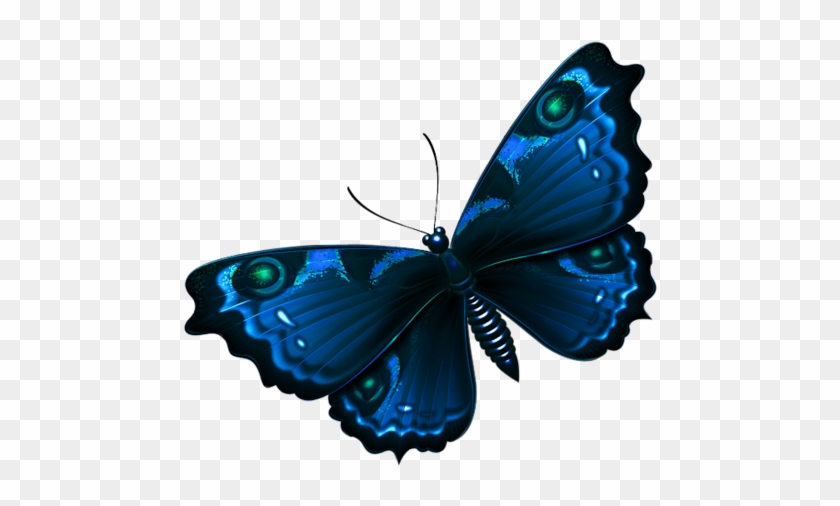 Bug Images, Butterfly Dragon, Butterfly Images, Dragonflies, - Bug Images, Butterfly Dragon, Butterfly Images, Dragonflies, #1539460