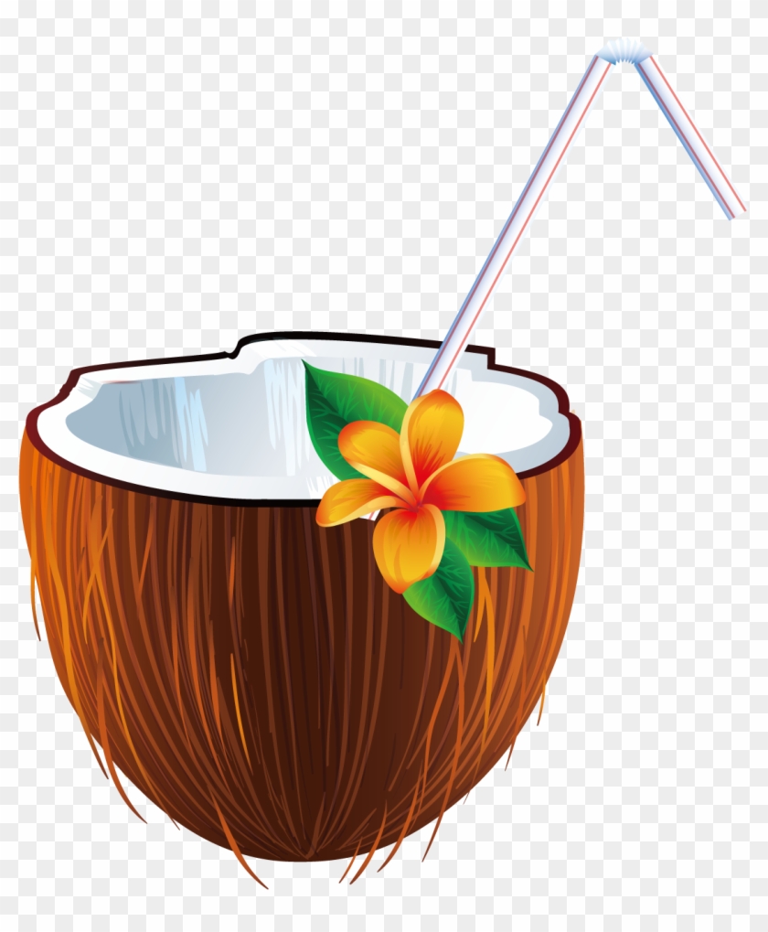 Coconut Clipart Coconut Bra - Coconut Clipart Coconut Bra #1539867