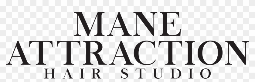 Mane Attraction Hair Studio - Mane Attraction Hair Studio #1540045