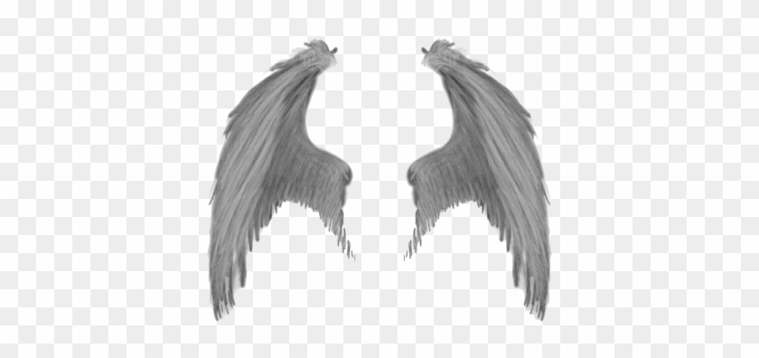 Wings Png Images Free Download Angel Wings Png - Wings Png Images Free Download Angel Wings Png #1540259