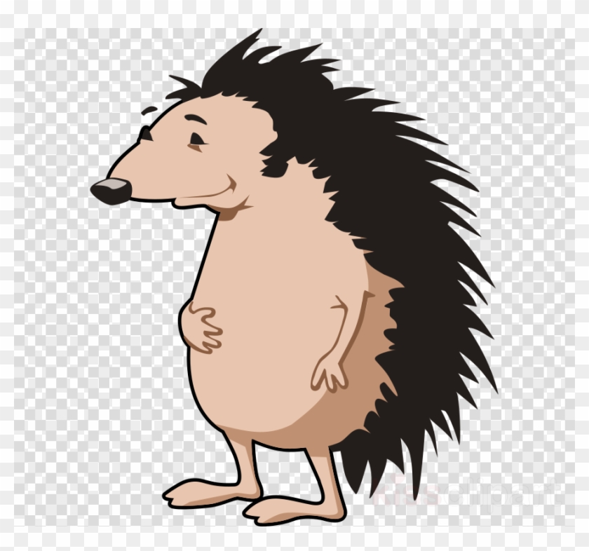 Custom Cartoon Hedgehog Shower Curtain Clipart Hedgehog - Custom Cartoon Hedgehog Shower Curtain Clipart Hedgehog #1540586