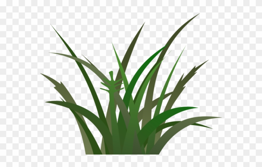Lawn Clipart Tropical Grass - Lawn Clipart Tropical Grass #1540672