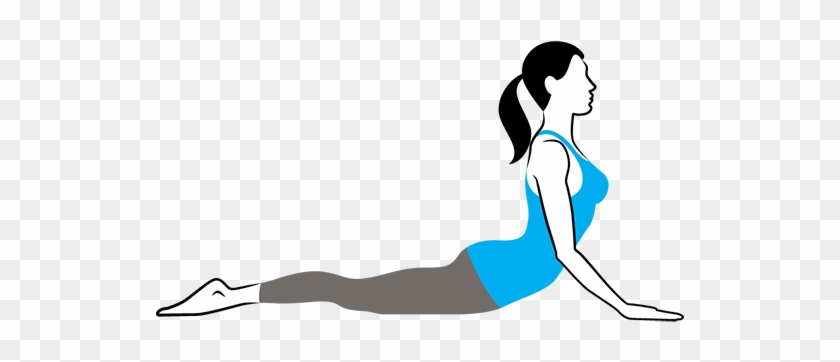 Cobra Pose Bhujangasana - Cobra Pose Bhujangasana #1541071