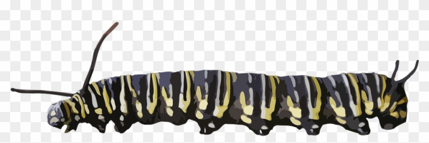 Caterpillar Yellow Black - Caterpillar Yellow Black #1541233