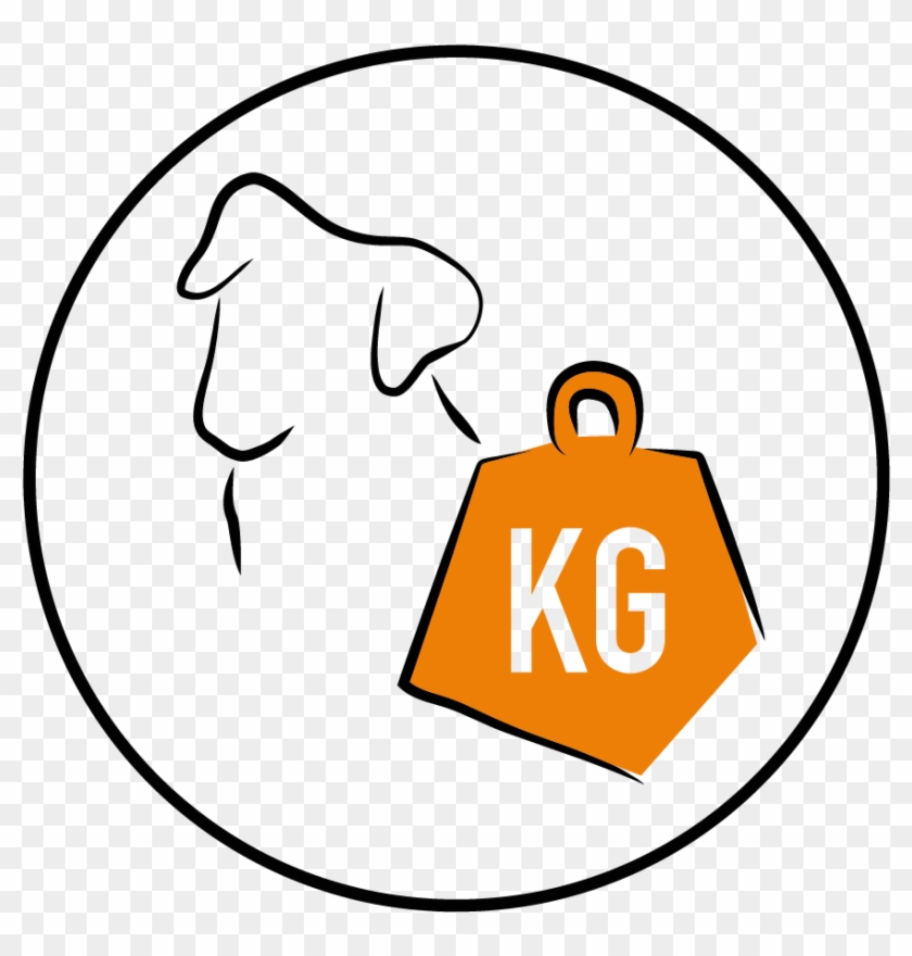 Arion Original Adult Medium Senior - Arion Original Adult Medium Senior #1541361