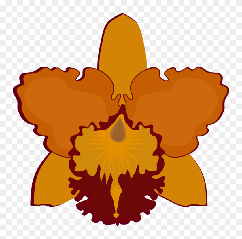 Cattleya Orchids Flowering Plant Petal Moth Orchids - Cattleya Orchids Flowering Plant Petal Moth Orchids #1541809