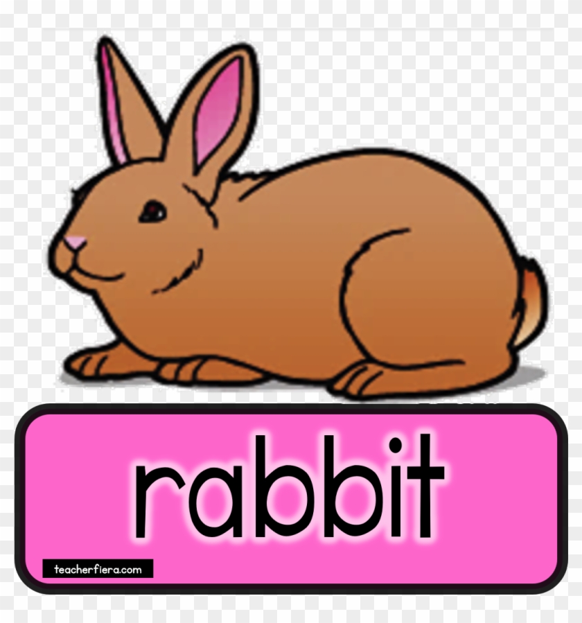 Teacherfiera Com Would Really Appreciate If You - Teacherfiera Com Would Really Appreciate If You #1542981