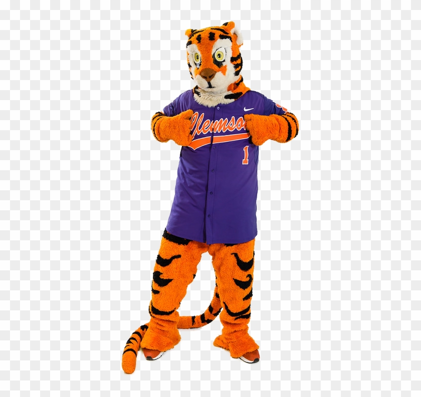 Clemson Tiger - Clemson Tiger #1543204