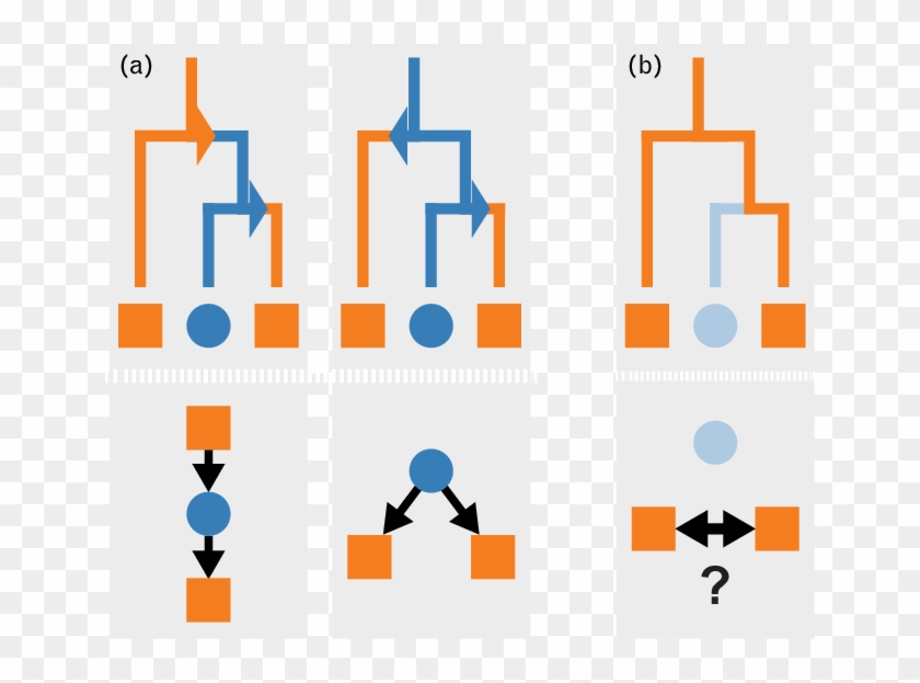 Phylogenies Provide Incomplete Transmission Network - Phylogenies Provide Incomplete Transmission Network #1543620