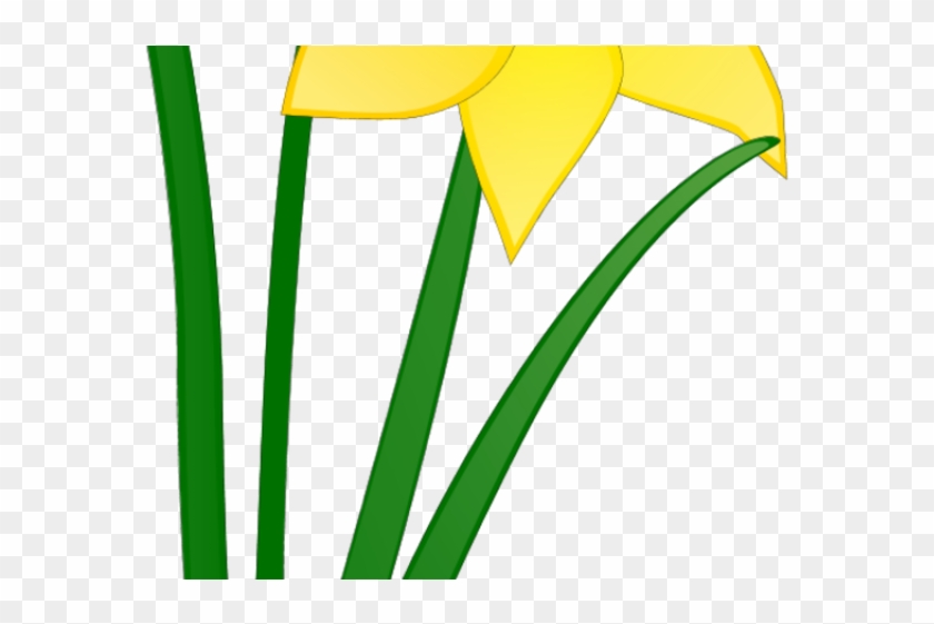 Clip Art Library Library Daffodil Clipart Spring Break - Clip Art Library Library Daffodil Clipart Spring Break #1543660