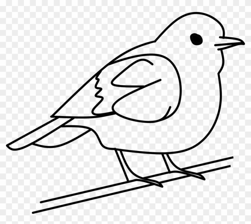 19 Bird Clip Black And White Coloring Huge Freebie - 19 Bird Clip Black And White Coloring Huge Freebie #1543664