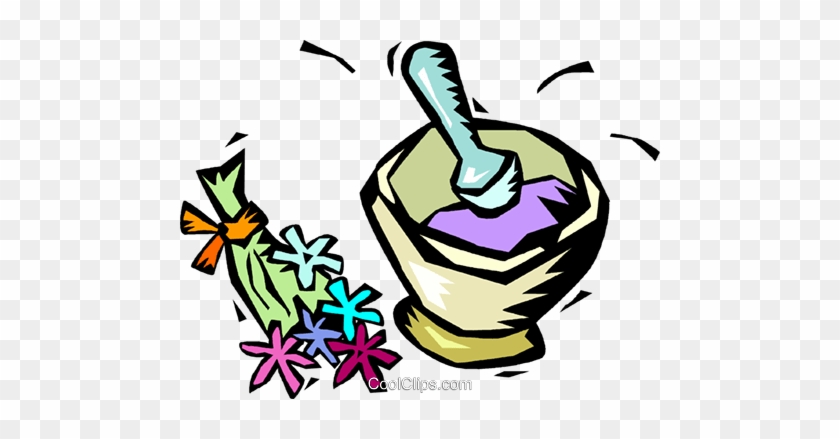 Herbal Clip Art - Herbal Clip Art #1543677