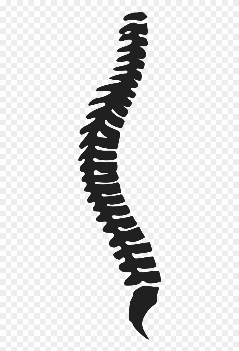 chiropractic spine clipart