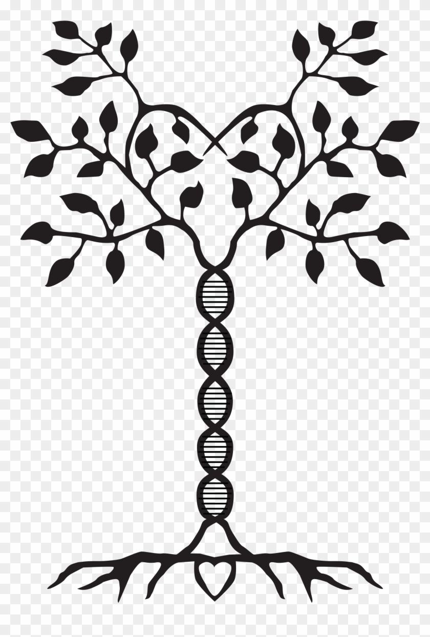 Clever Genetic Ancestry - Clever Genetic Ancestry #1544147