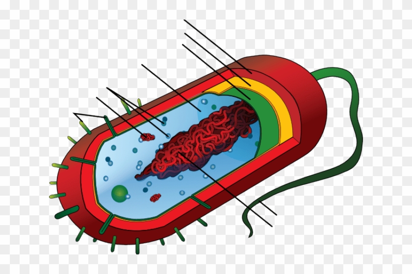 Chemistry Worksheets - Chemistry Worksheets #1544192
