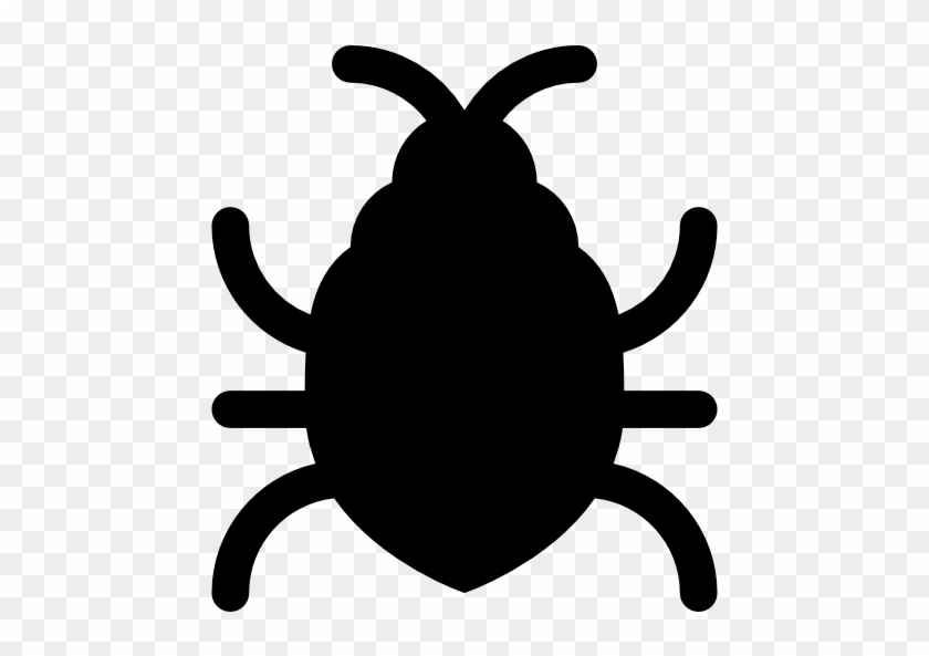 Bedbug Animals Insect Parasite Parasitic Unhigyenic - Bedbug Animals Insect Parasite Parasitic Unhigyenic #1544208