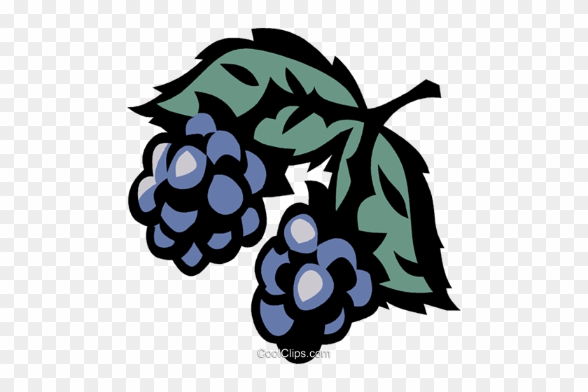 Wild Berries Royalty Free Vector Clip Art Illustration - Wild Berries Royalty Free Vector Clip Art Illustration #1544421