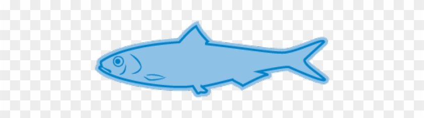 Sardine Clipart Long Fish - Sardine Clipart Long Fish #1544927