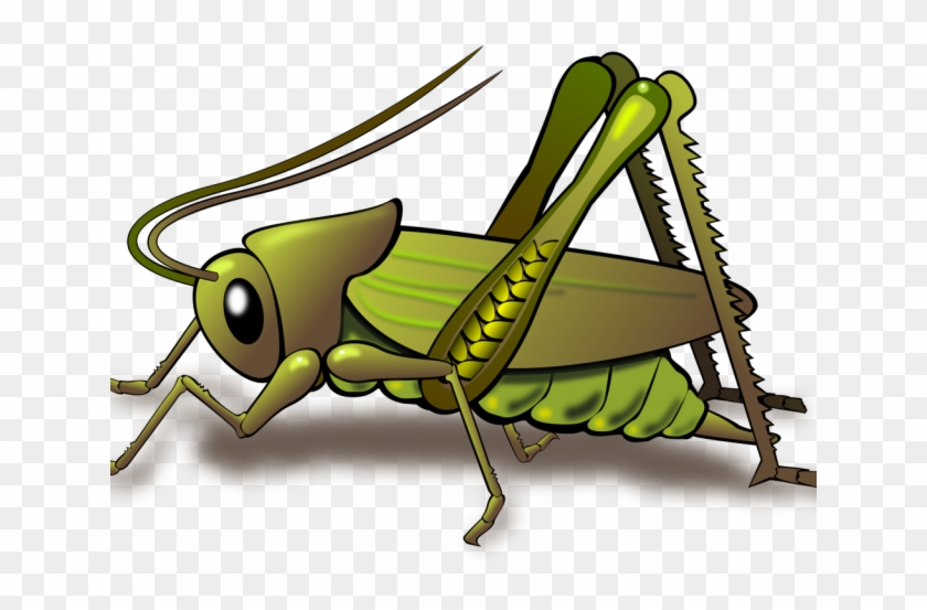 Locust Clipart Cricket Bug - Locust Clipart Cricket Bug #1545271