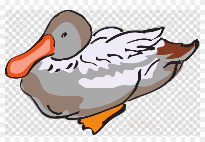 Clip Art Clipart Duck Clip Art - Clip Art Clipart Duck Clip Art #1545443