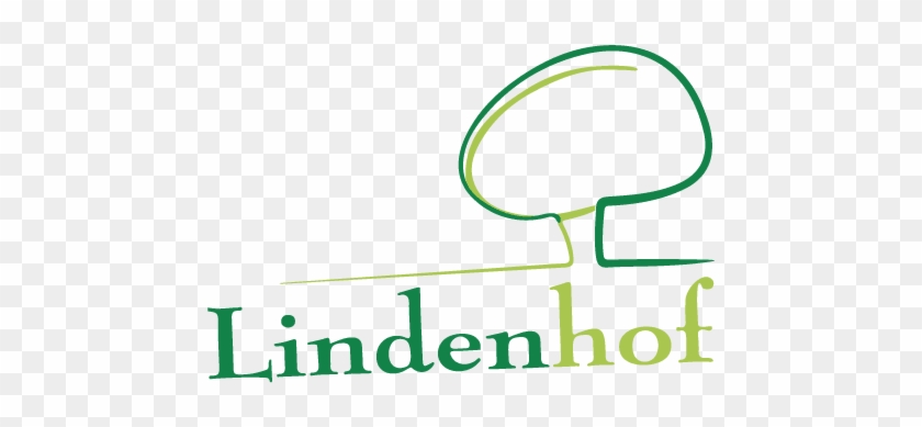 Order Dumplings In Kühnsdorf - Order Dumplings In Kühnsdorf #1545544
