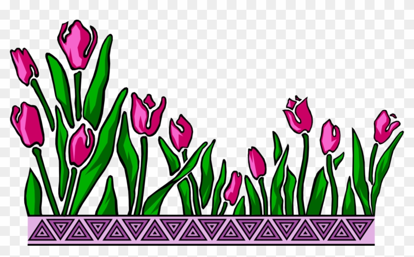 Vector Illustration Of Bulbous Plant Spring Tulips - Vector Illustration Of Bulbous Plant Spring Tulips #1545548
