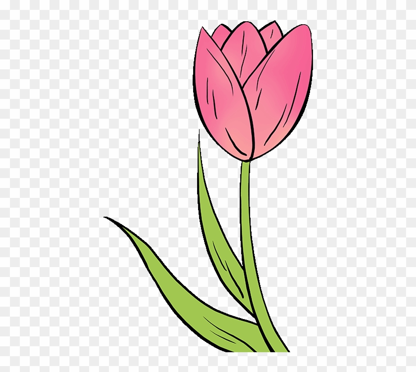 Drawing Spring Tulip - Drawing Spring Tulip #1545549