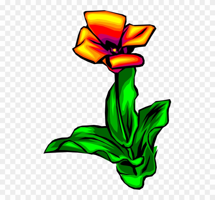Vector Illustration Of Spring Tulip Flower Bulbous - Vector Illustration Of Spring Tulip Flower Bulbous #1545550