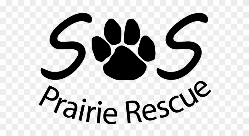 Final S Paw S Logo - Final S Paw S Logo #1545936