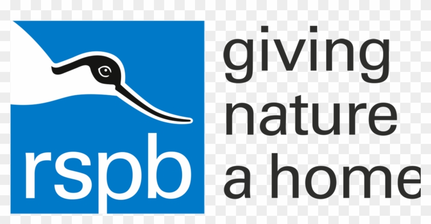Enjoy A Family Day Out At Rspb Burton Mere Wetlands - Enjoy A Family Day Out At Rspb Burton Mere Wetlands #1546137