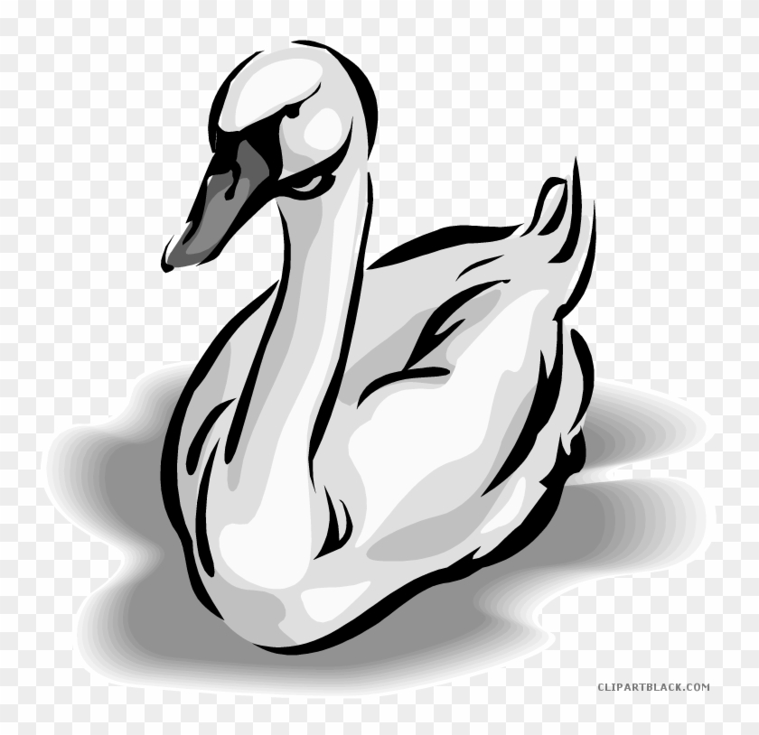 Black Swan Animal Free Black White Clipart Images Clipartblack - Black Swan Animal Free Black White Clipart Images Clipartblack #1546340