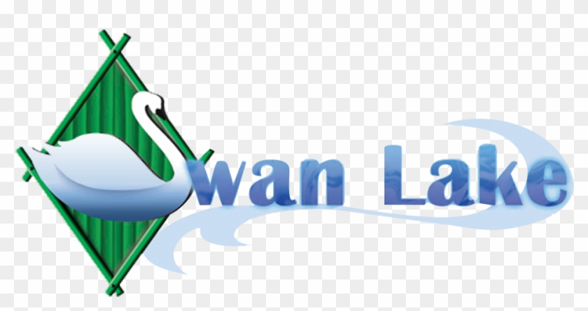 Go On A Slow Paced Boat Ride At The Swan Lake - Go On A Slow Paced Boat Ride At The Swan Lake #1546351