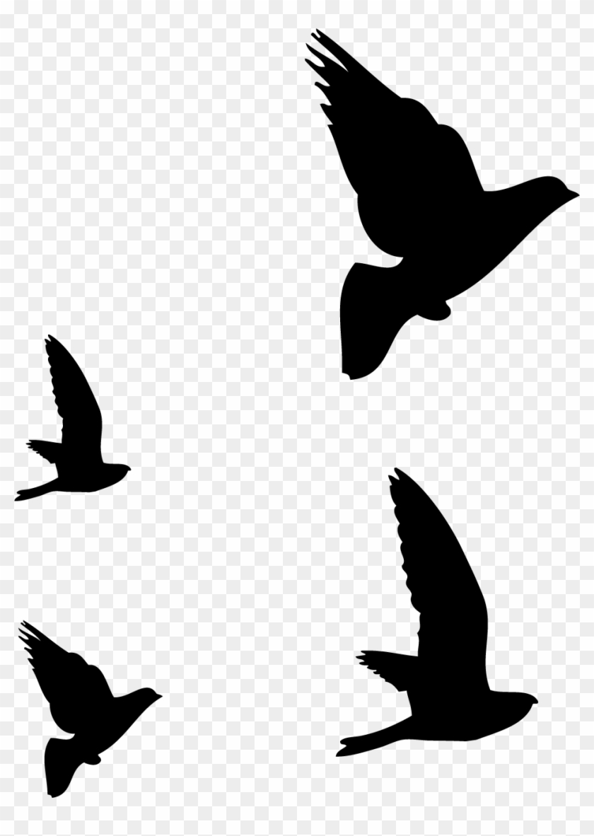 Dibujos De Pajaros Volando Tumblr Buscar Con - Dibujos De Pajaros Volando  Tumblr Buscar Con - Free Transparent PNG Clipart Images Download