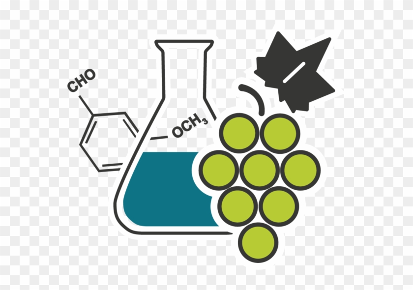 Department Of Microbiology Biochemistry Translate To - Department Of Microbiology Biochemistry Translate To #1546686