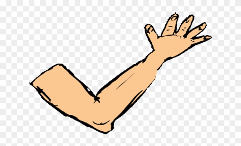 Arms Clipart Body Part - Arms Clipart Body Part.