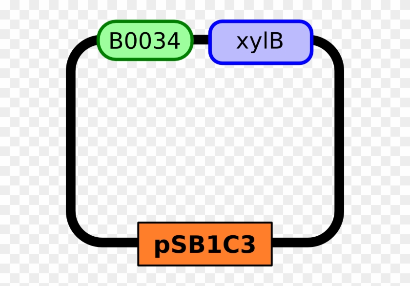 Http - //parts - Igem - Org/wiki/images/5/ - Http - //parts - Igem - Org/wiki/images/5/ #1546738