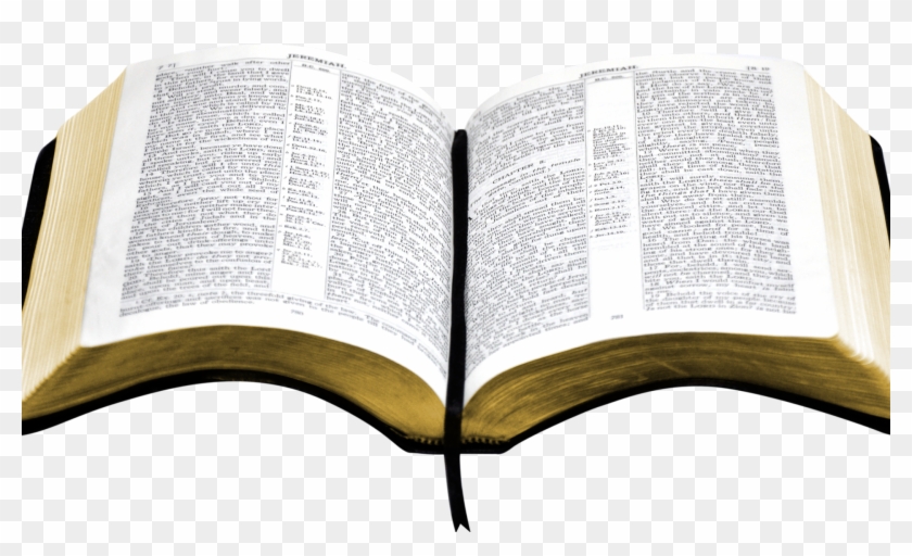 Open Bible Clipart - Open Bible Clipart #1546953